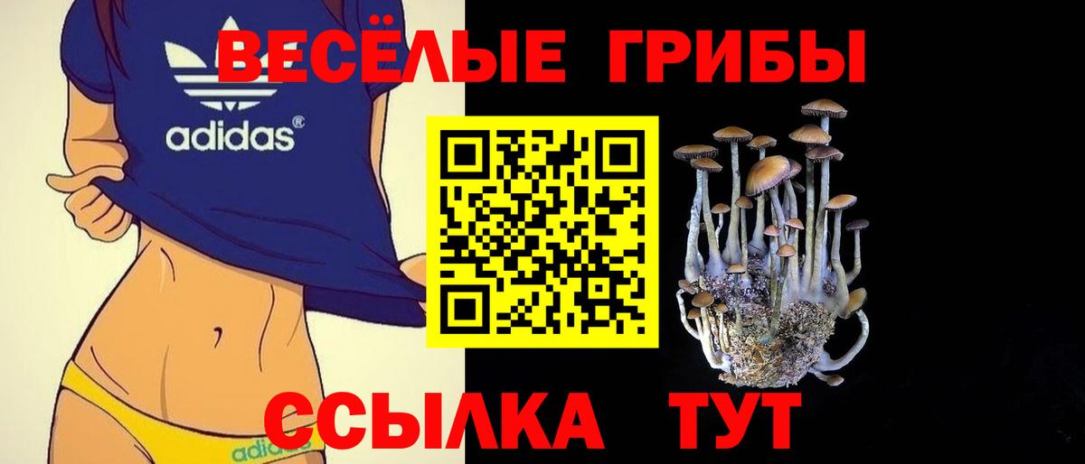 Псилоцибиновые грибы MAGIC MUSHROOMS  Галлюциногенные грибы прущие грибы  Вход с VPN  Горно-Алтайск 